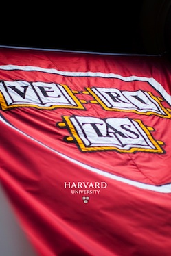 Pre-award team image depicted as a veritas flag