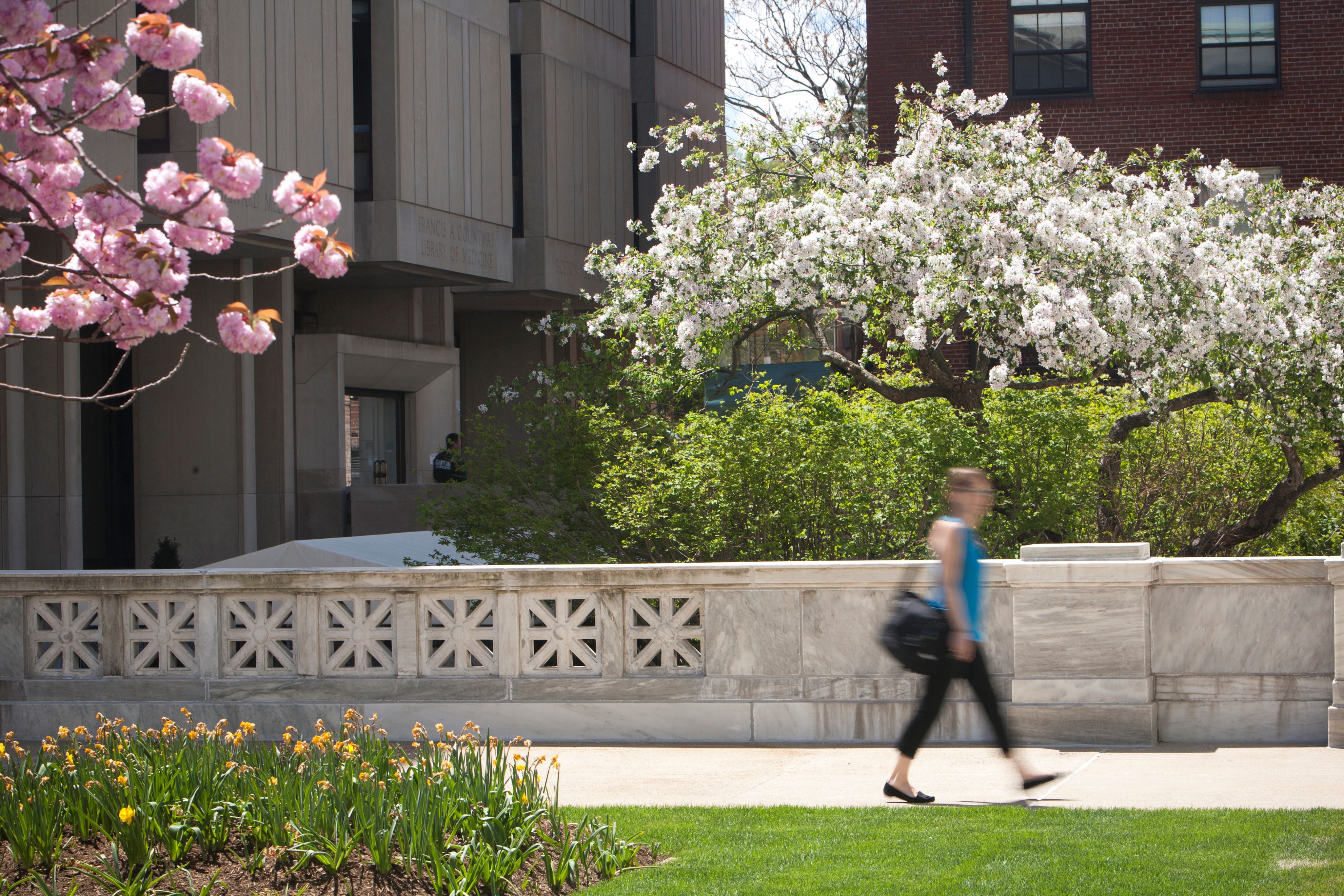 Research Administration at HMS