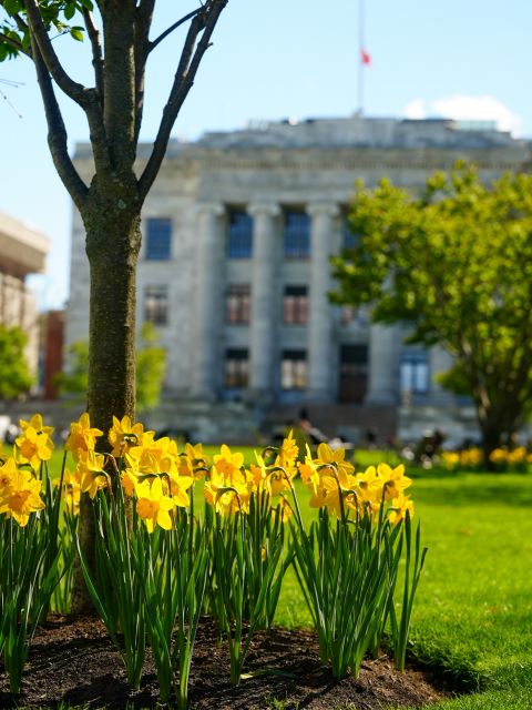 Common Forms
