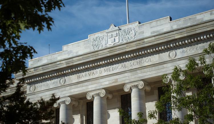 Research Management Meeting 