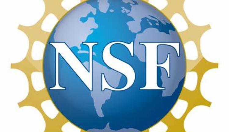 NSF's Implementation of NSTC-approved Common Forms Now Available in SciENcv