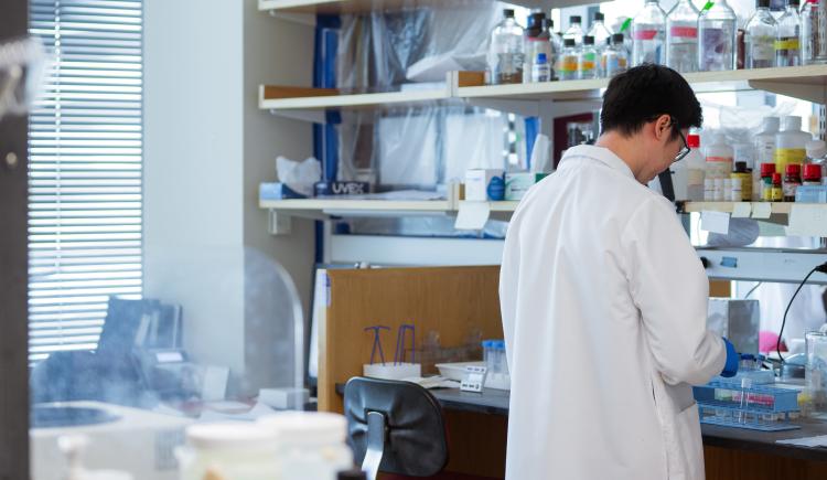 biomedical research