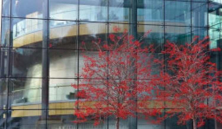 ORA Roles & Responsibilities Chart 